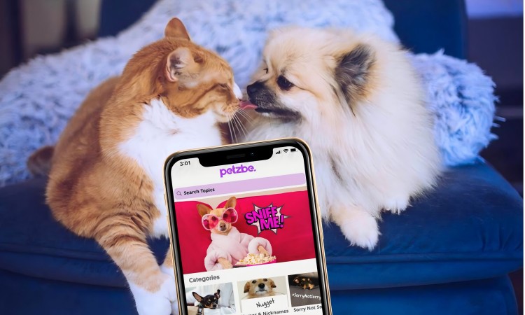 宠物市场呈现出万亿级的新机遇,欧美赛道怎么做?