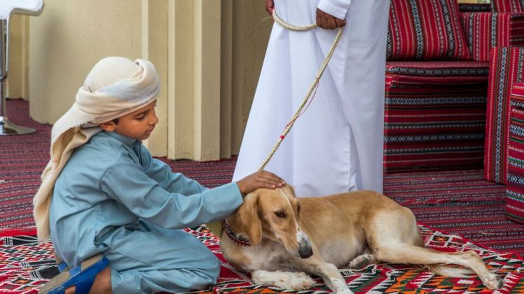 1725860956608579.jpg Middle East dog.jpg